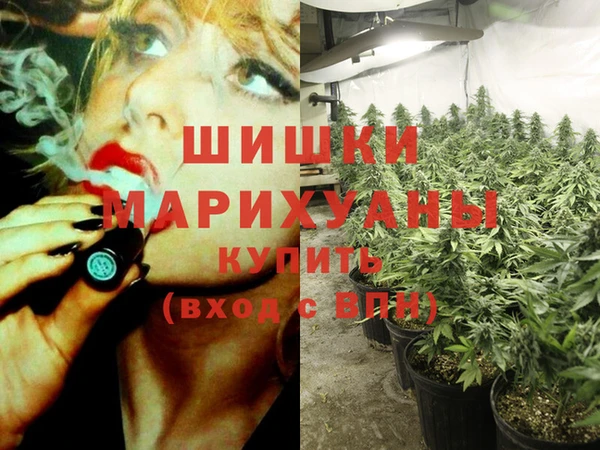 2c-b Осинники